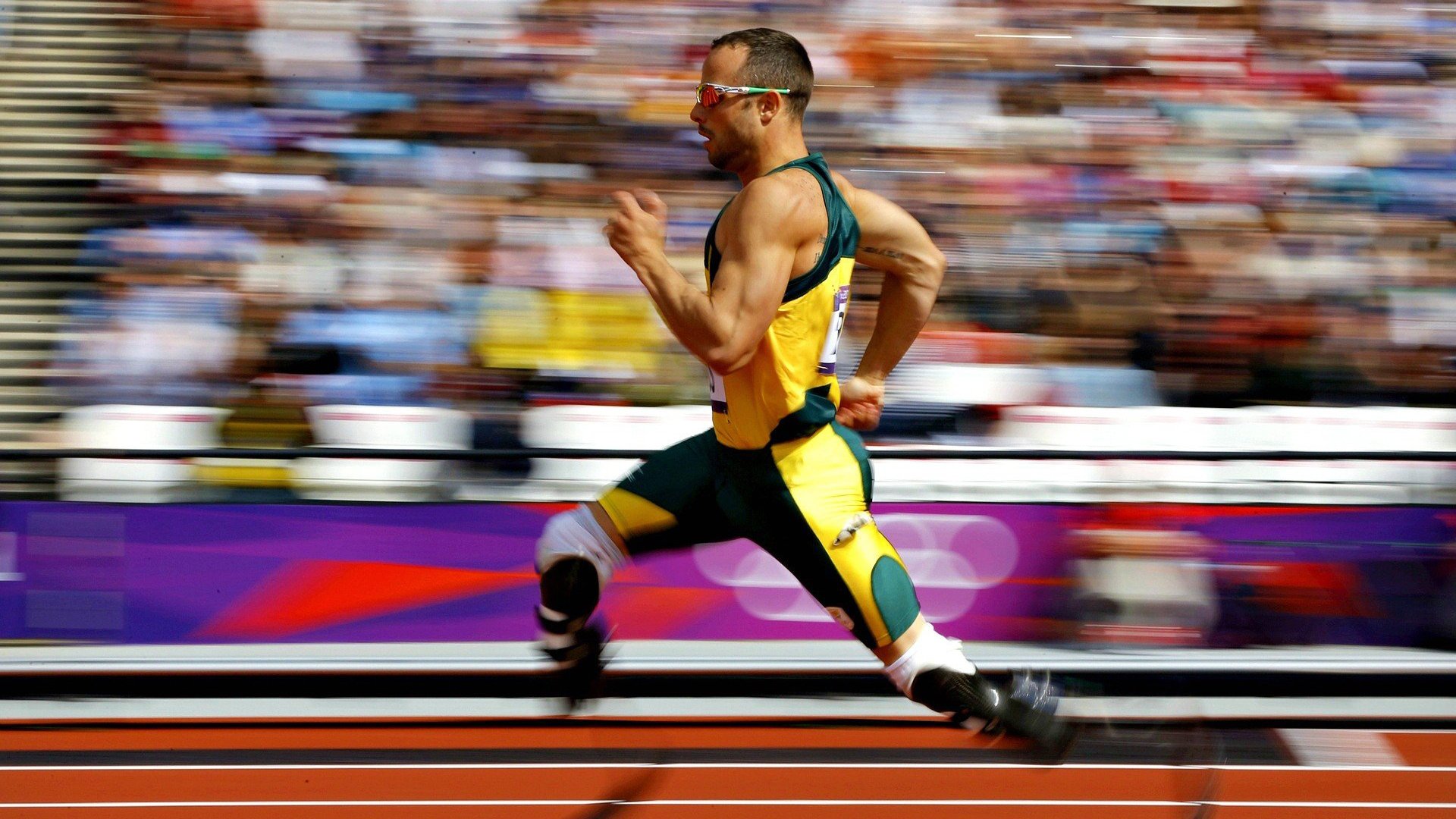 开云体育网址-本季新纪录：刷新历史的惊艳表现，刷新了新纪录